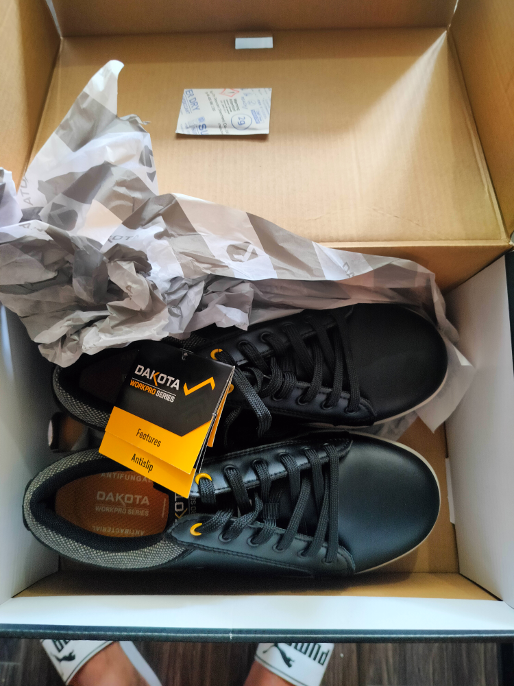 Dakota Workpro Series Shoes