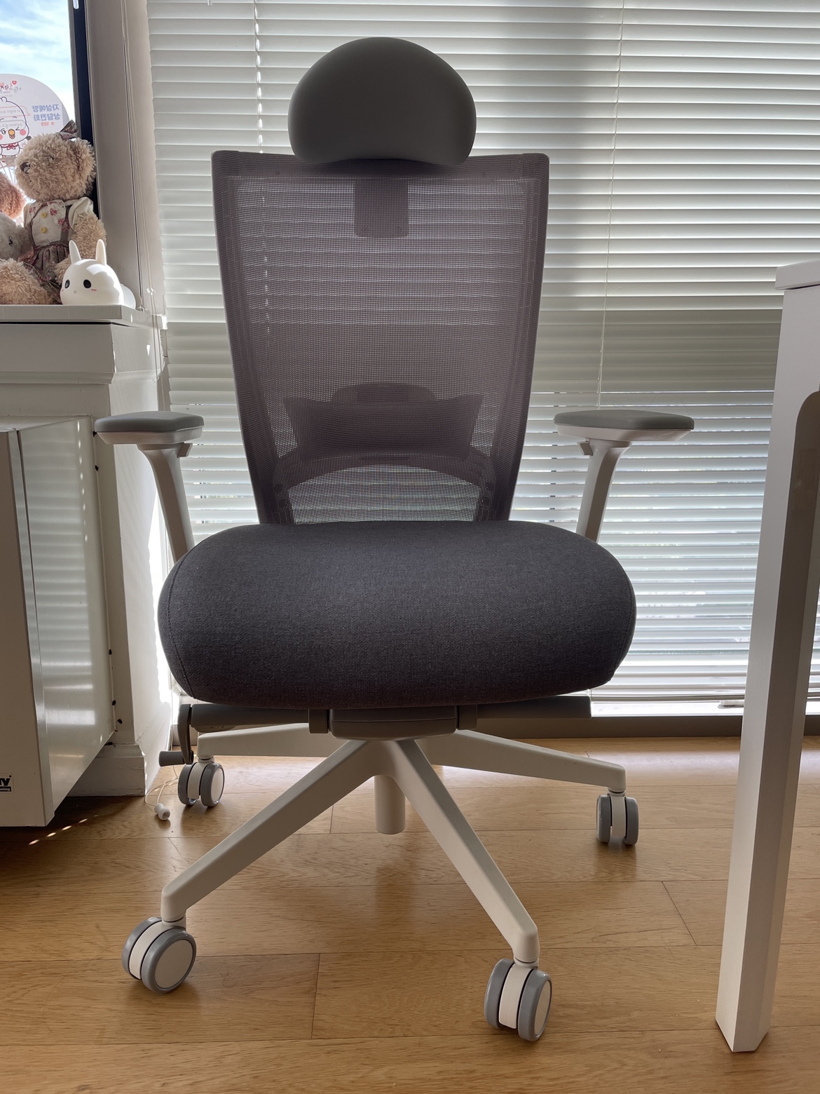 Sidiz T50 Ergonomic chair for pick up