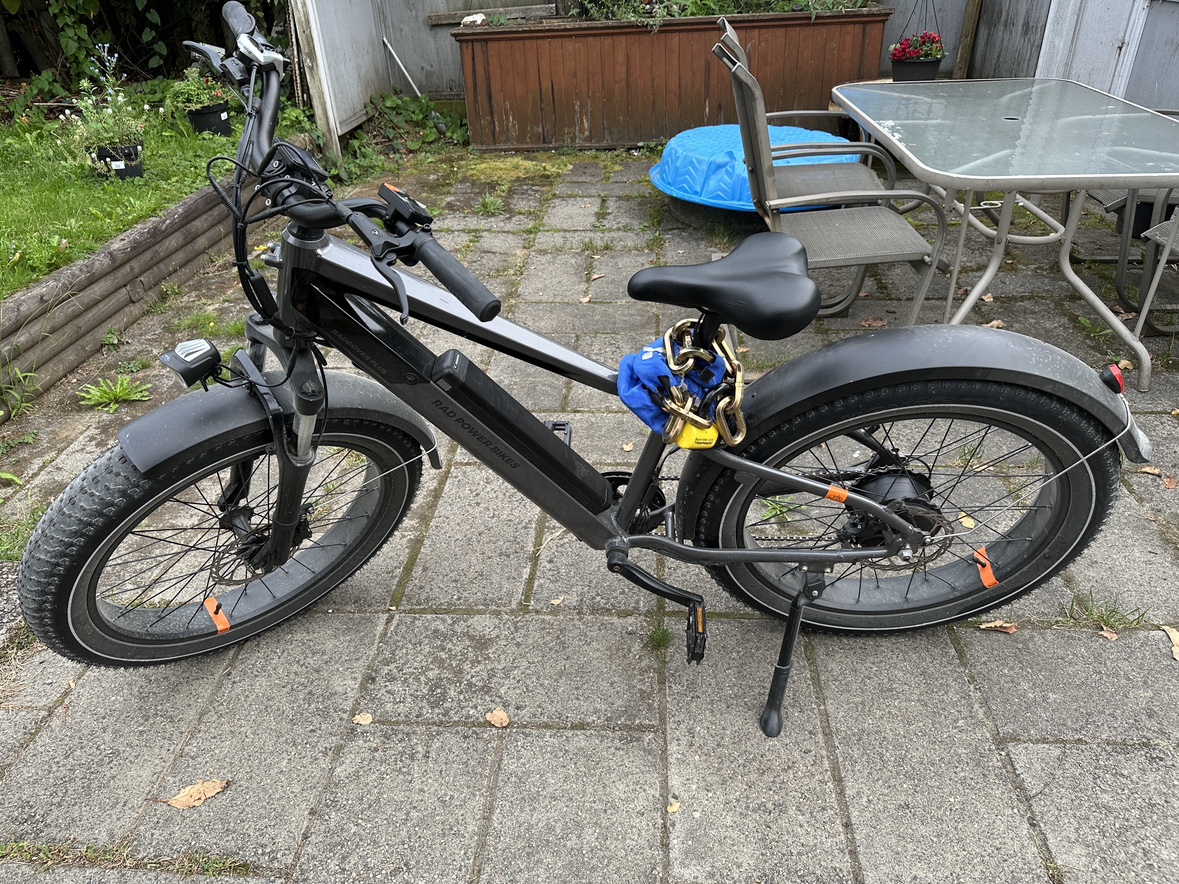 RadRover 6 Plus Electric Bike - photo 2