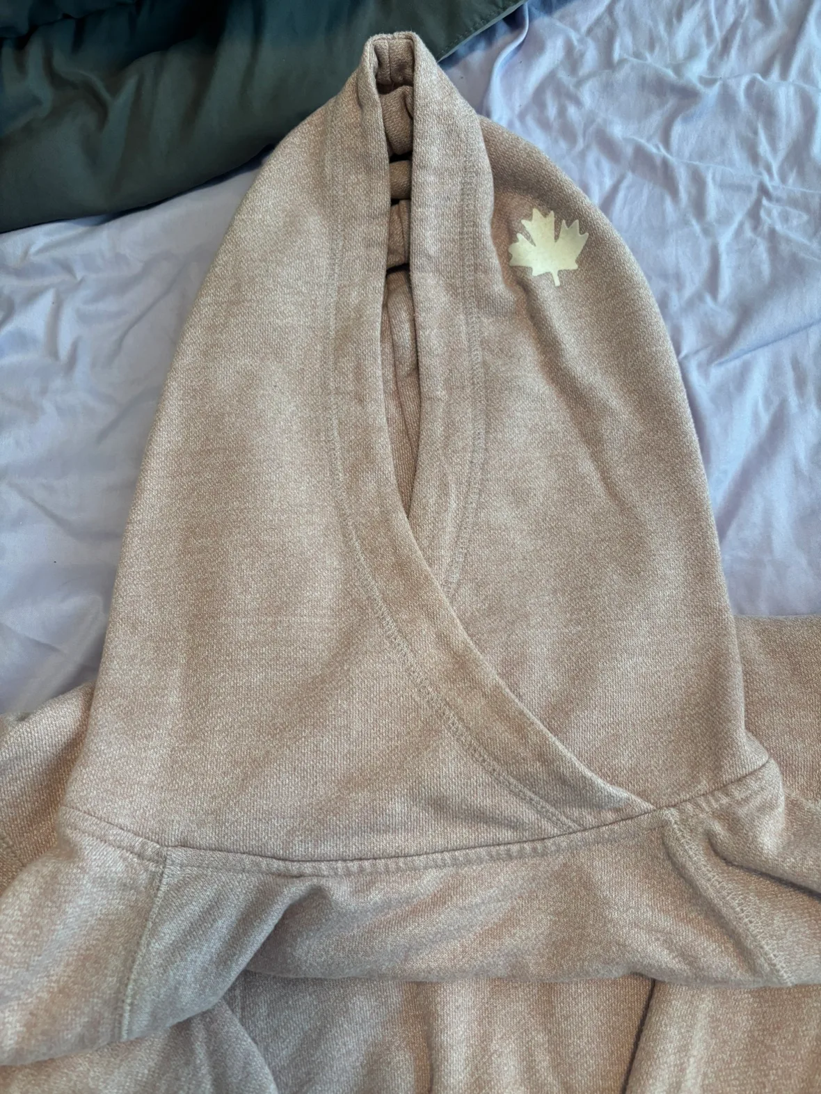 Roots Pink Hoodie image indicator(4)