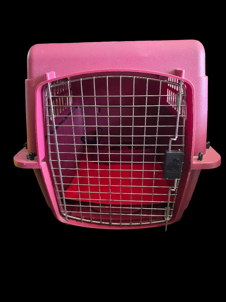 Petmate Pet Portal 2 - 2 ft Hard Plastic Carrier EUC thumbnail