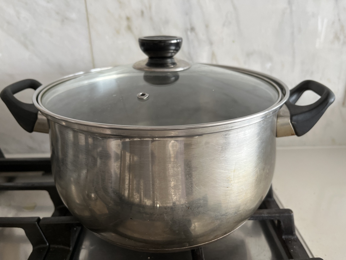 Stainless Steel Pot with Lid