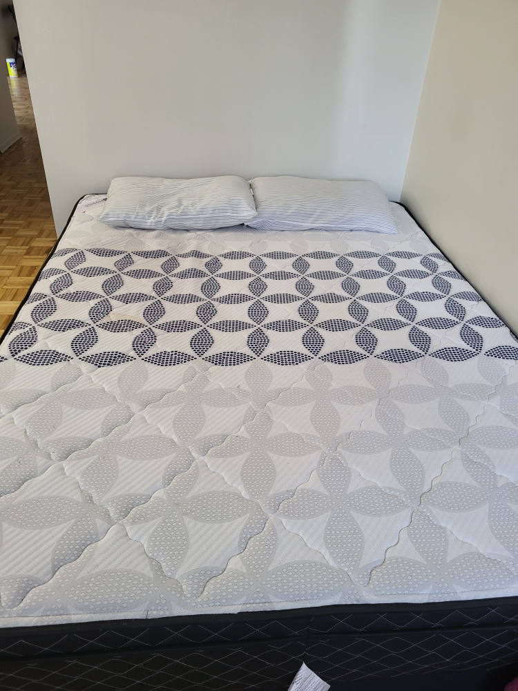 Double Mattress and Box Spring - photo 2