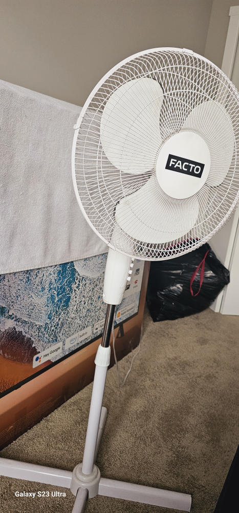 Facto Stand Fan