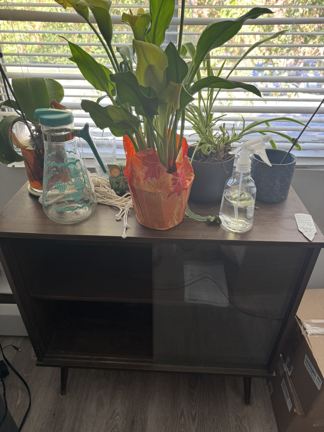 Small Cabinet - photo 3