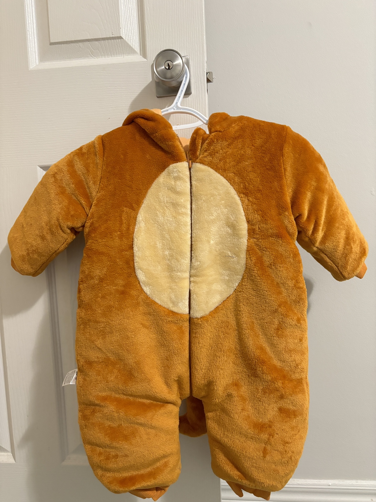 Lion Costume