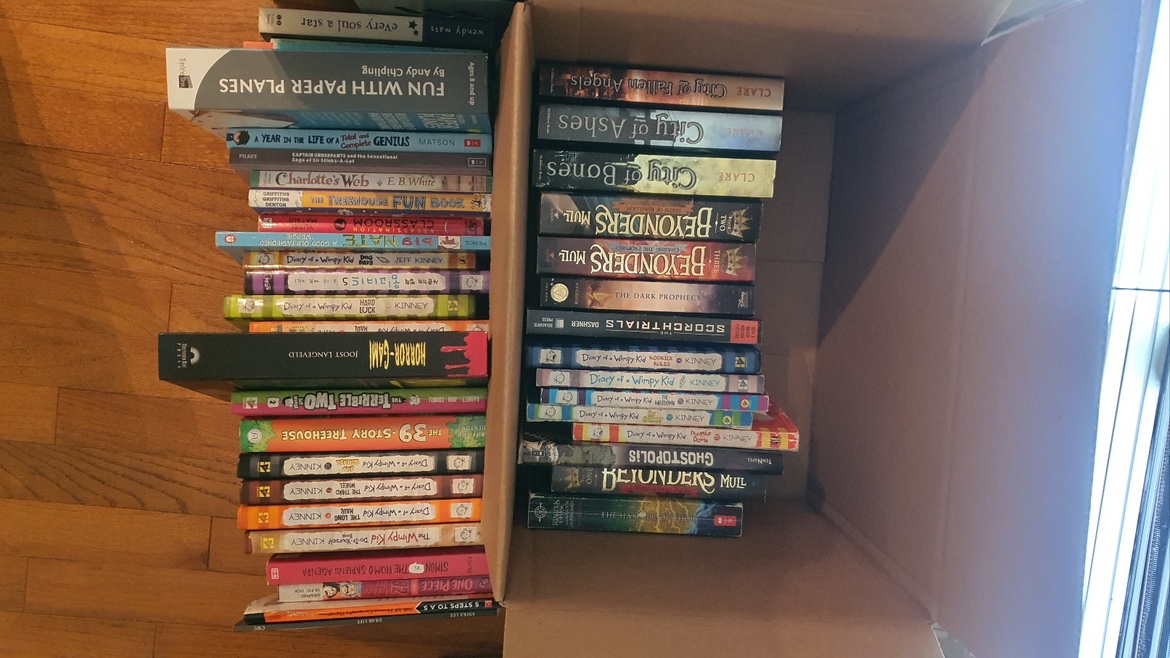 Large Book Lot - photo 3