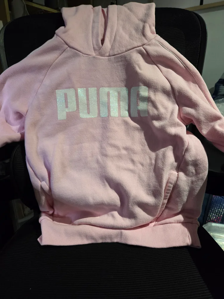 Pink Puma Hoodie thumbnail