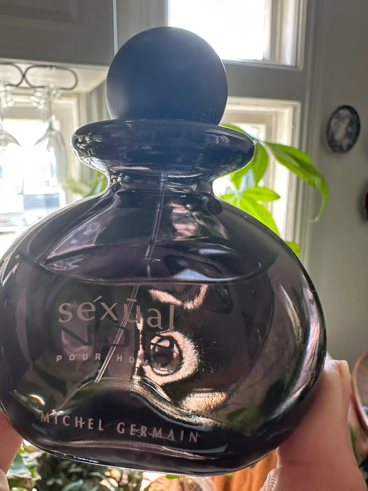 Michael German Sexual Noir for Men - 125ml Bottle image indicator(4)