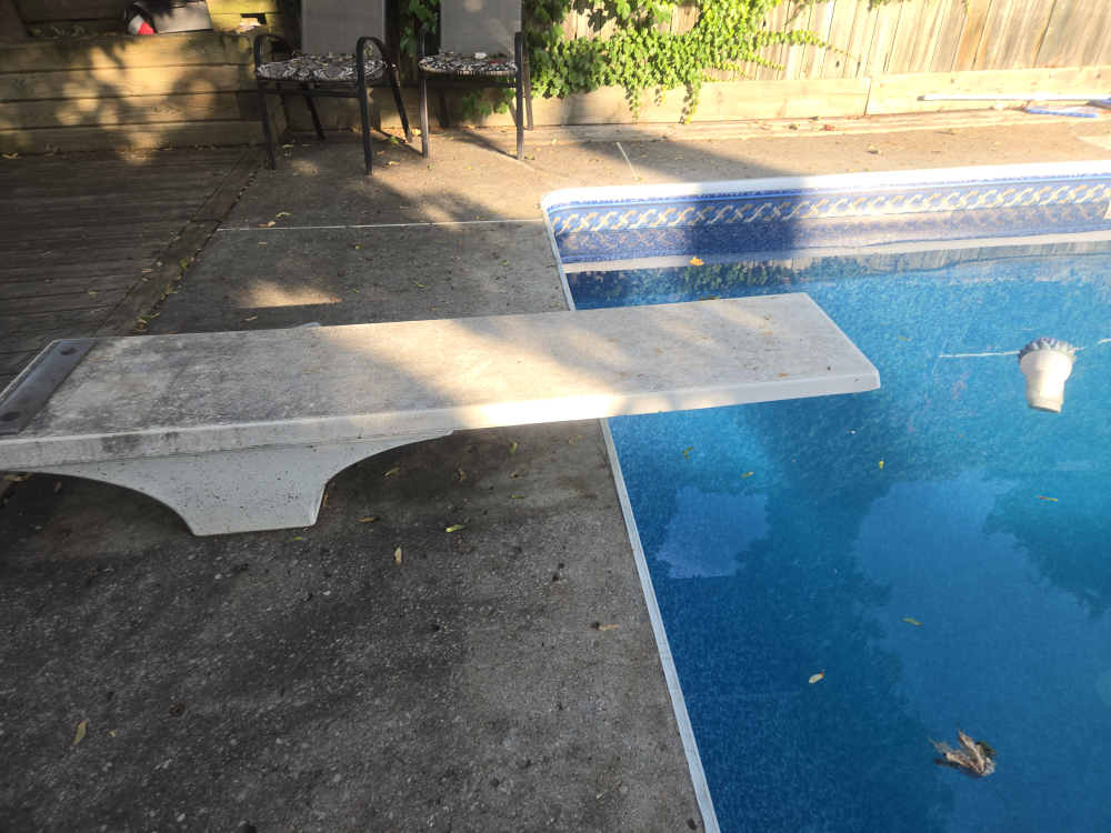 diving board - photo 2