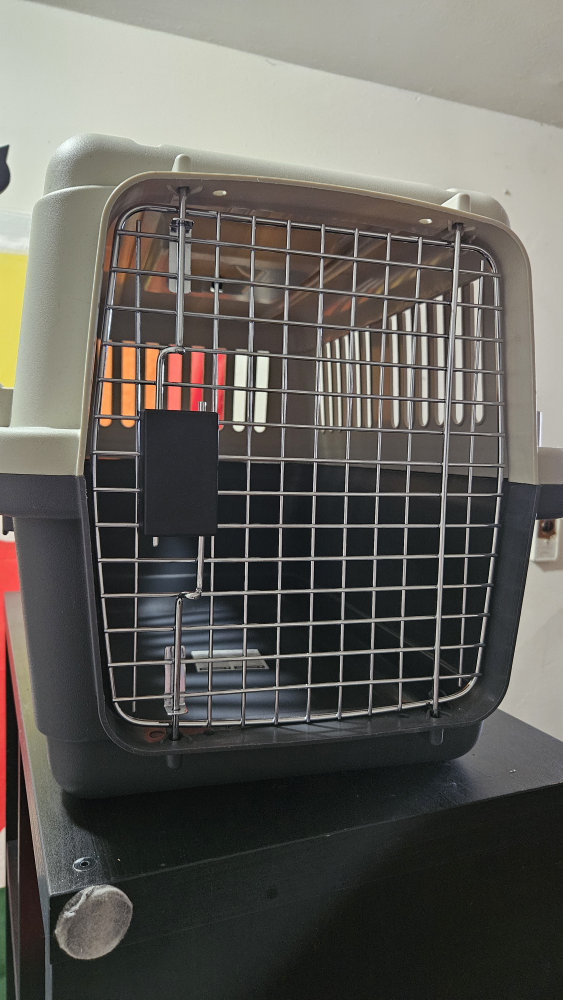 large cat carrier