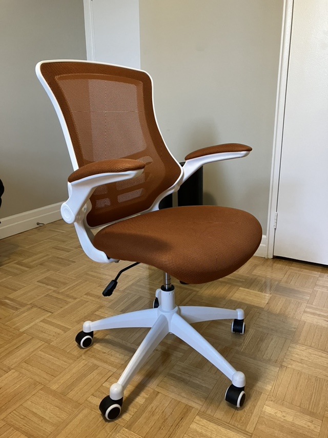 Ergonomic Office Chair