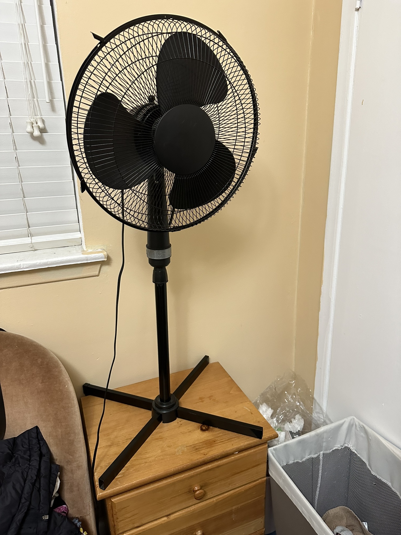 Stand Up Fan