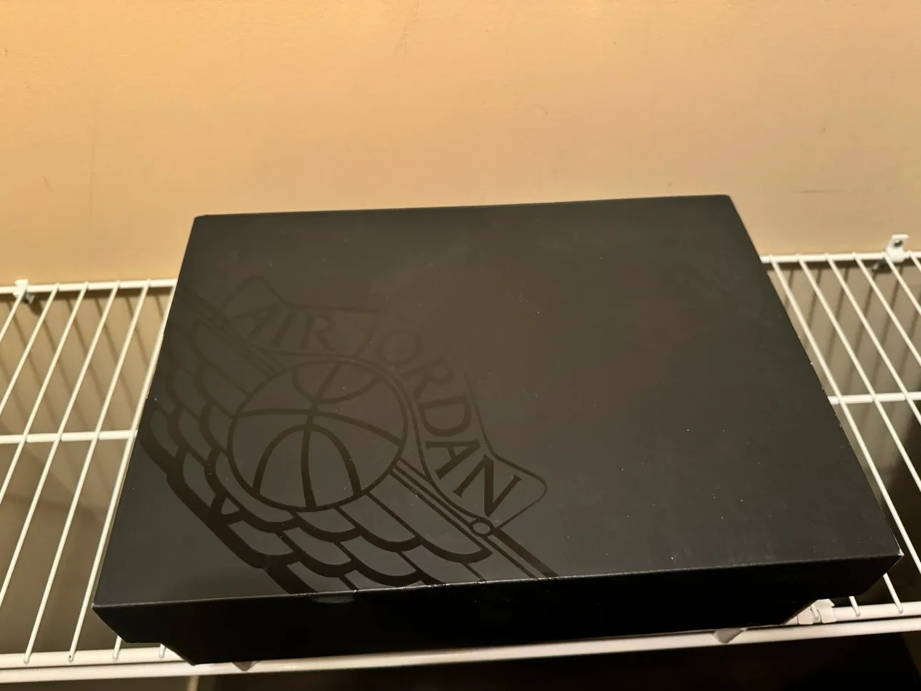 Air Jordan 1 Mid SE  SPACE JAM- Size 11 image indicator(2)