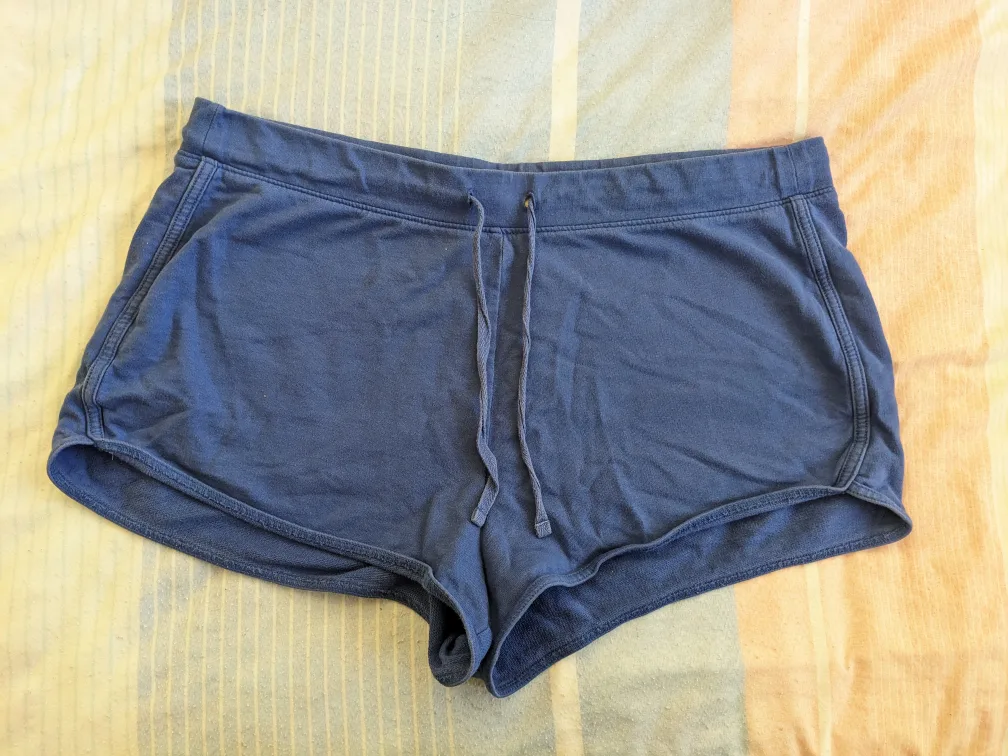 Blue Papaya Shorts image indicator(2)