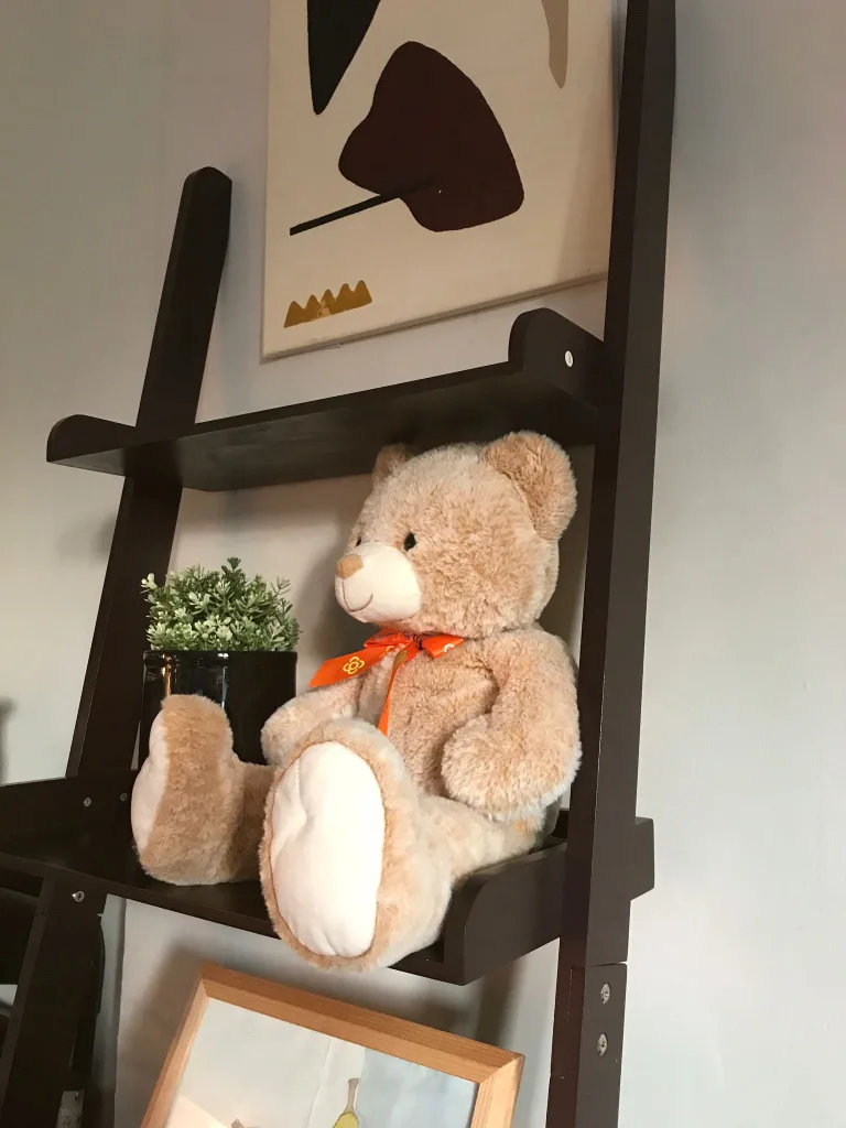 Ladder shelves thumbnail