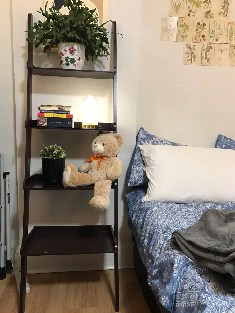 Ladder shelves image indicator(6)