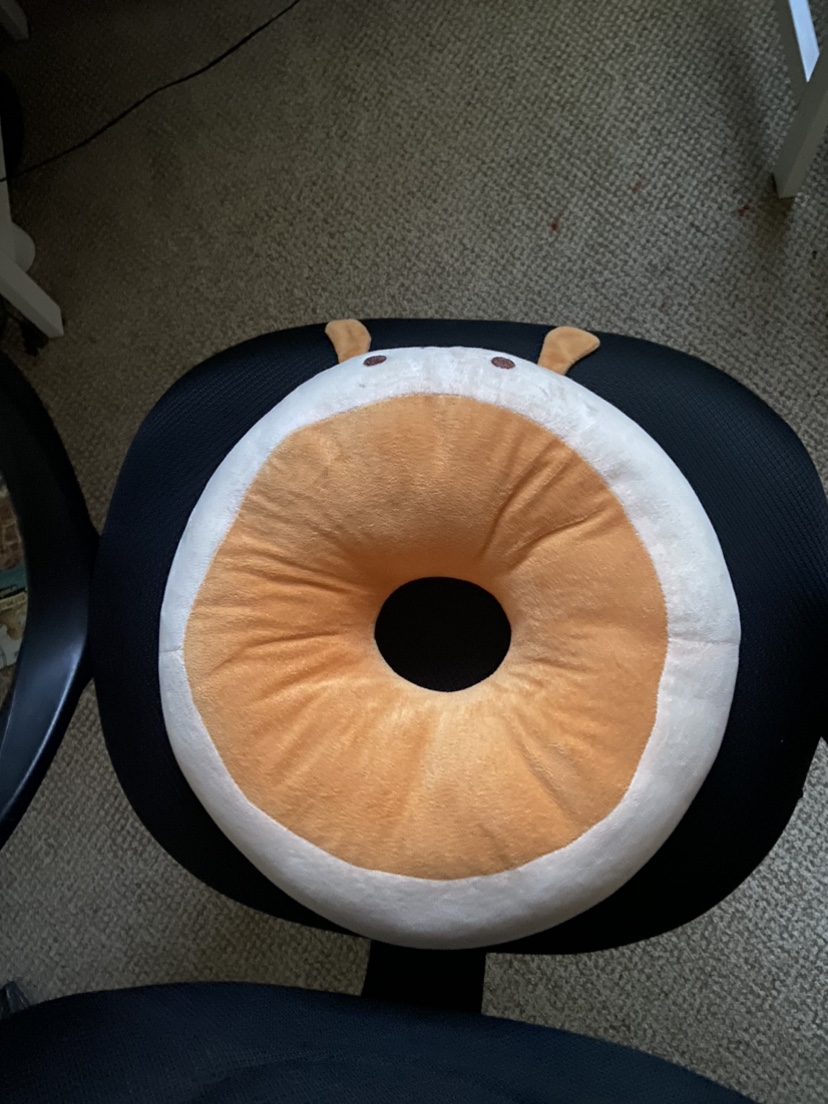 Cute Chair Cushion Back Support - photo 3