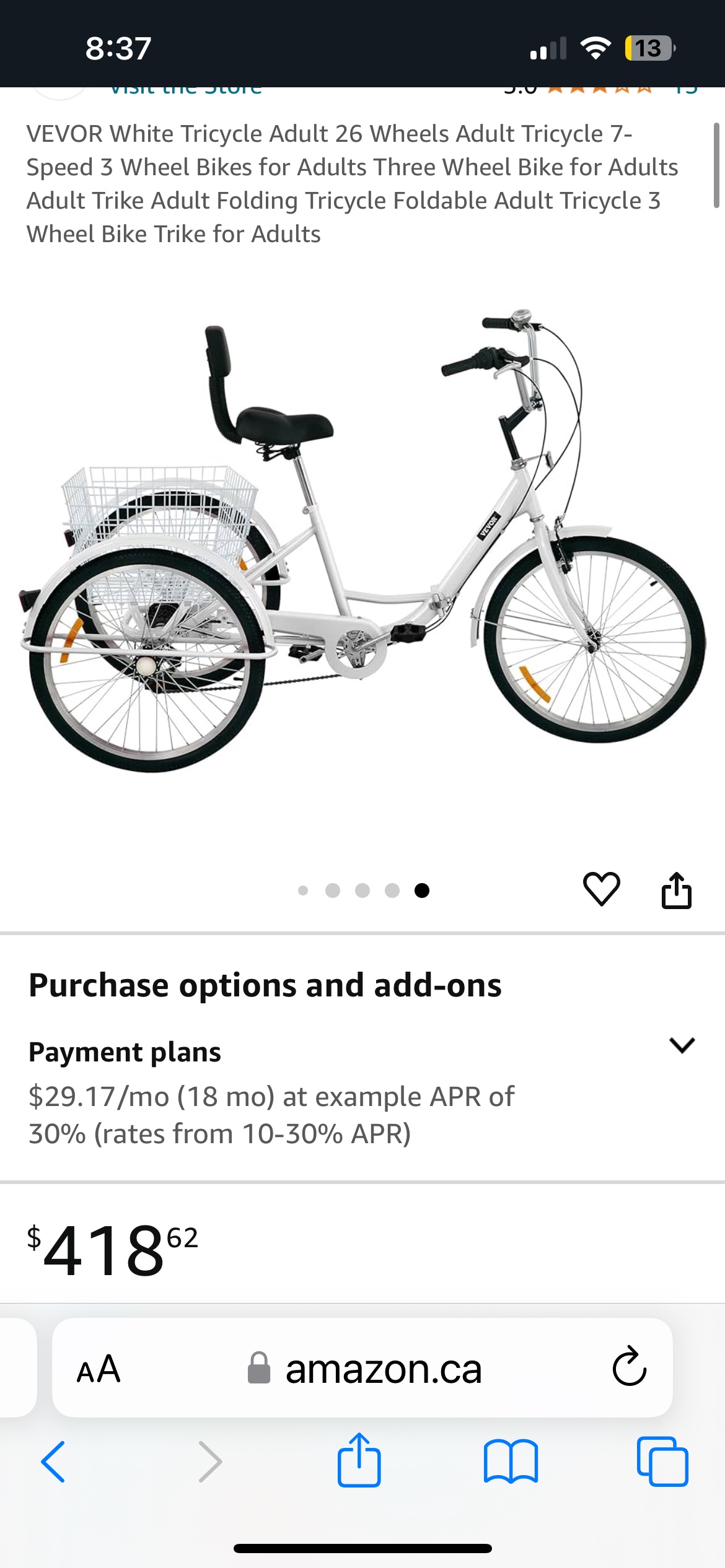 Adult Tricycle