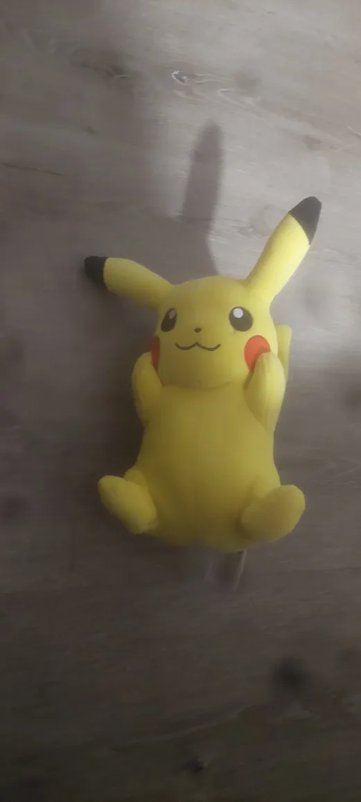 Pikachu Plush image indicator(2)