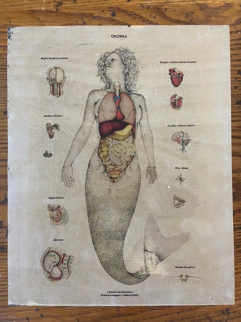 Mermaid Woodblock Print thumbnail