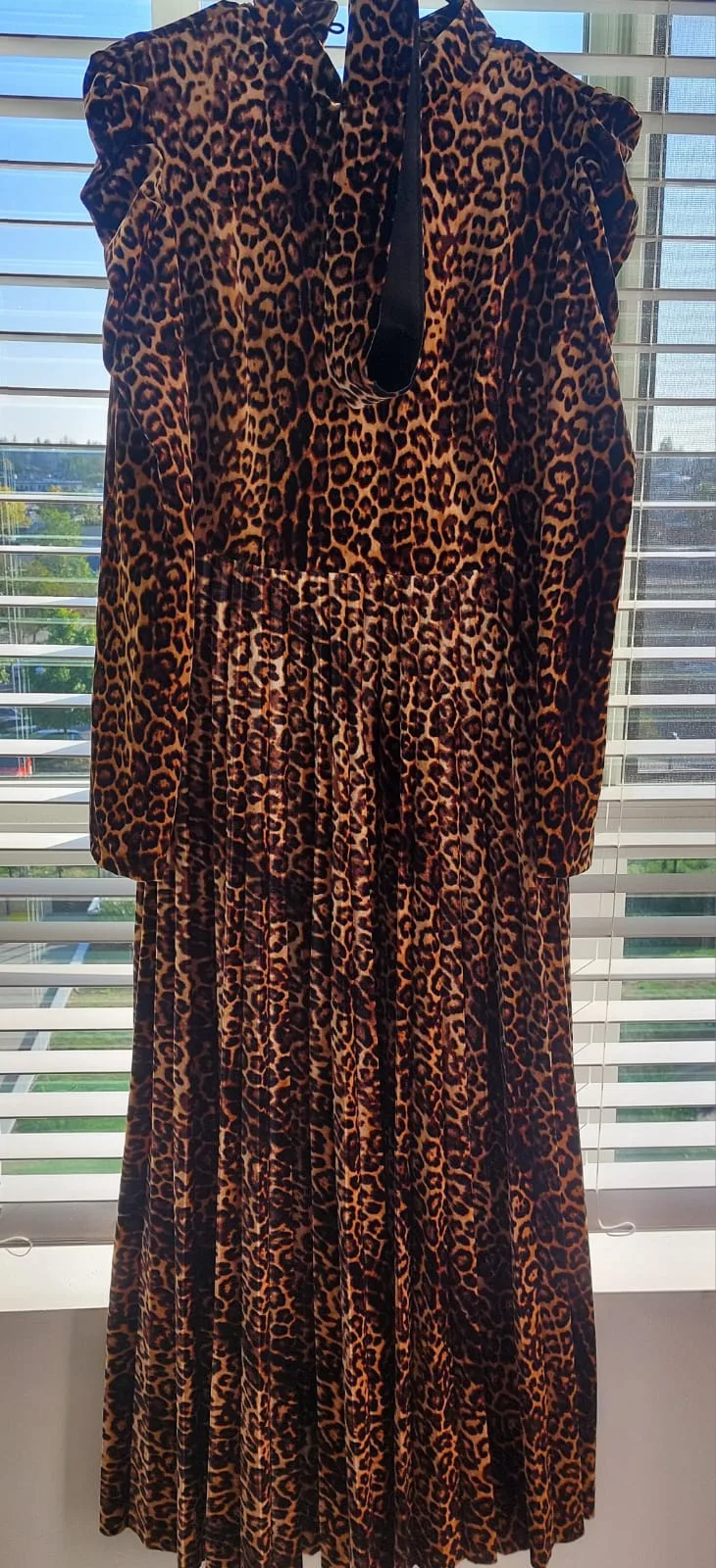 Elegant Leopard Print Velvet Dress image indicator(5)