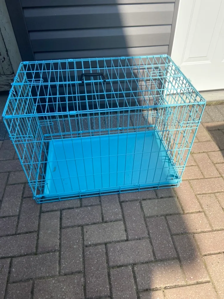 Blue Dog Crate thumbnail