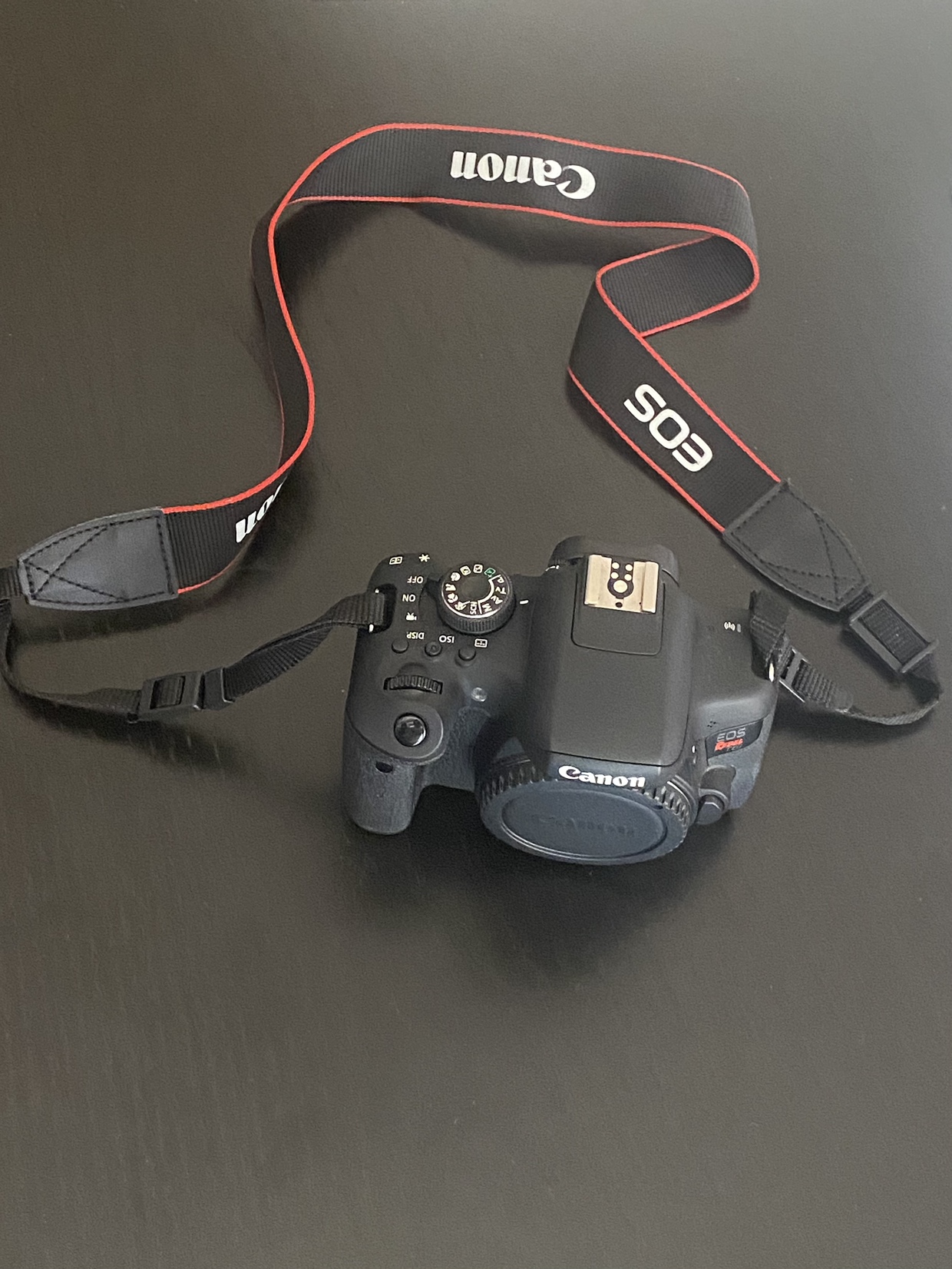 Canon EOS Rebel T6i Camera - photo 5
