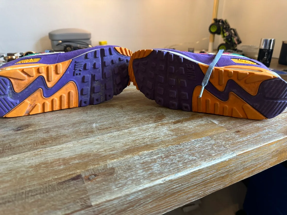 Nike Air Max 90 Viotech OG - US 9 image indicator(6)