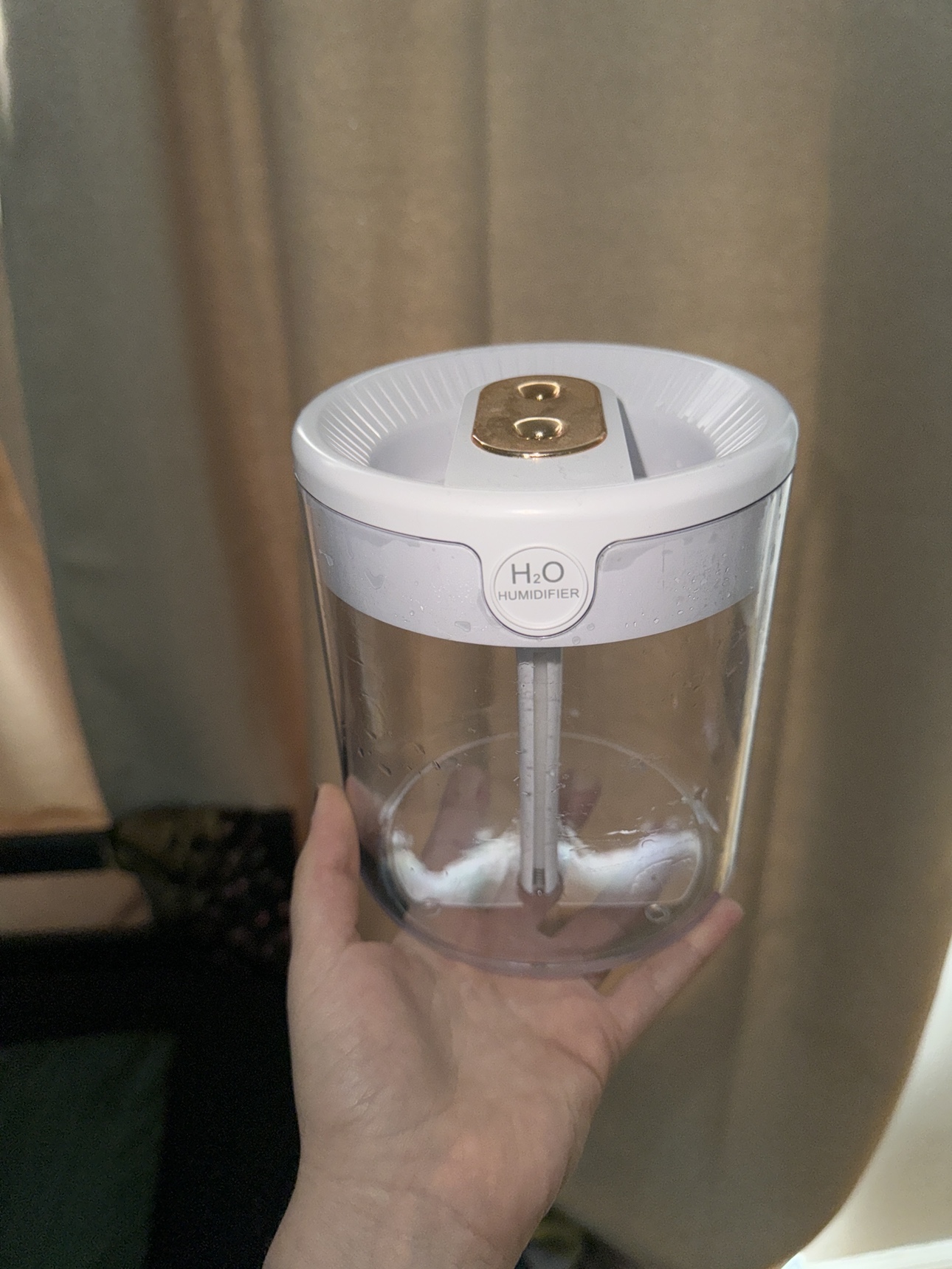 H2O Humidifier