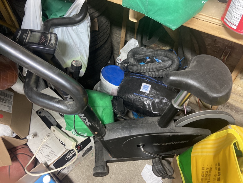 Schwinn 405p Exercise Bike