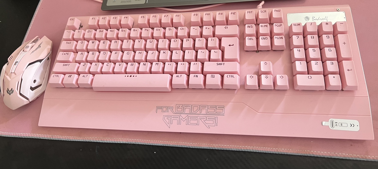 Pink Gaming Keyboard with Mouse