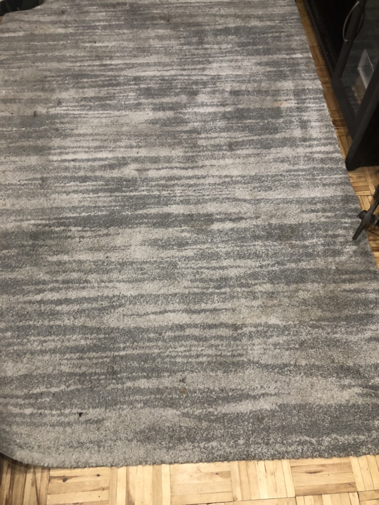 Grey and White Shag Rug