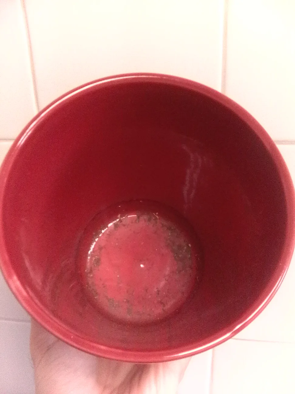 Red Rose Ceramic Flower Pot image indicator(2)