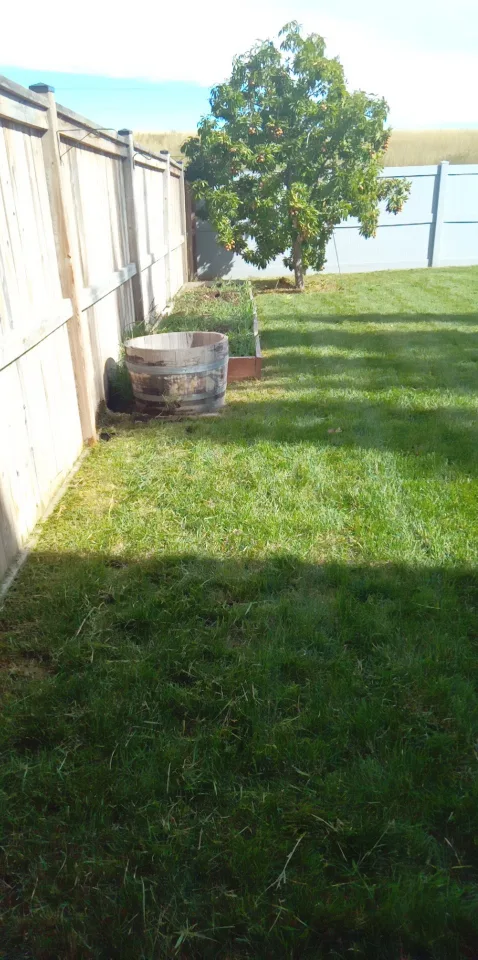 J & T lawn care and snow removal and dog poop pick up in yard image indicator(2)