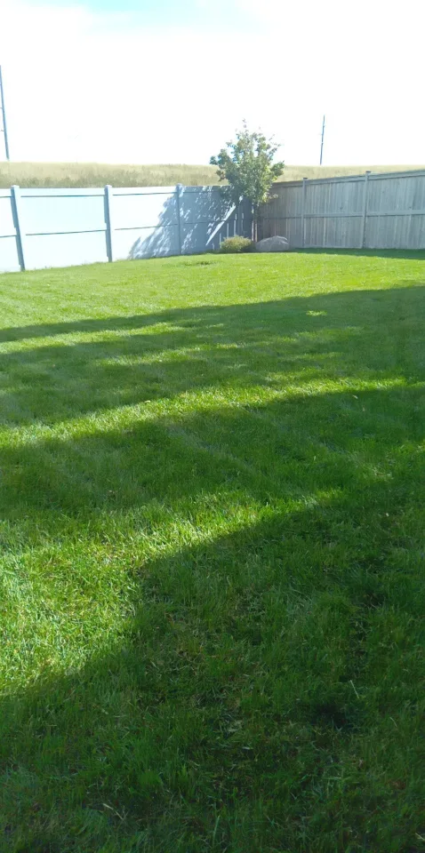 J & T lawn care and snow removal and dog poop pick up in yard image indicator(3)