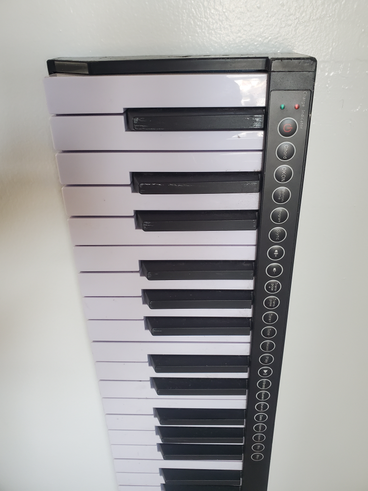 88 Key Portable Digital Piano - photo 2