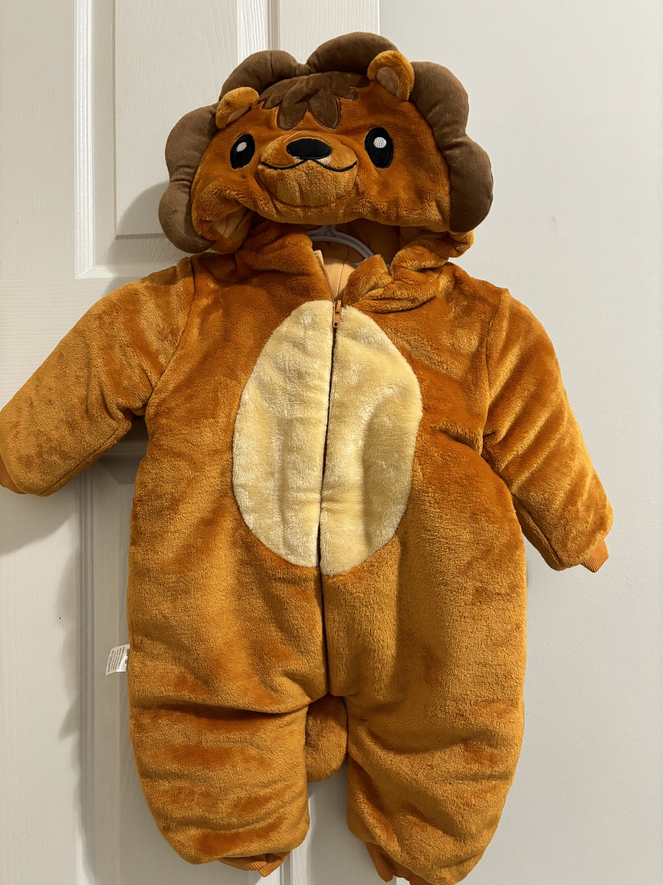 Lion Costume - photo 2
