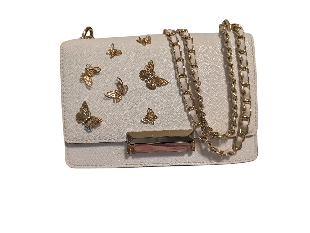 FREE Aldo Butterfly Chain Bag #freecycle thumbnail