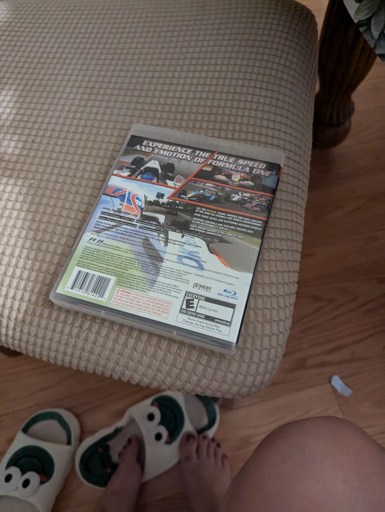 Formula 1 Championship Edition (PS3) - photo 2