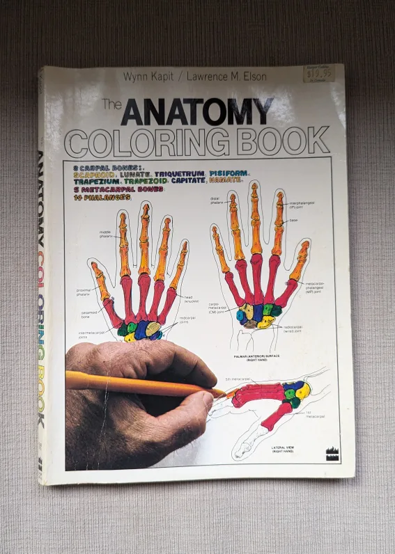 🥕 The Anatomy Coloring Book 🥕 thumbnail