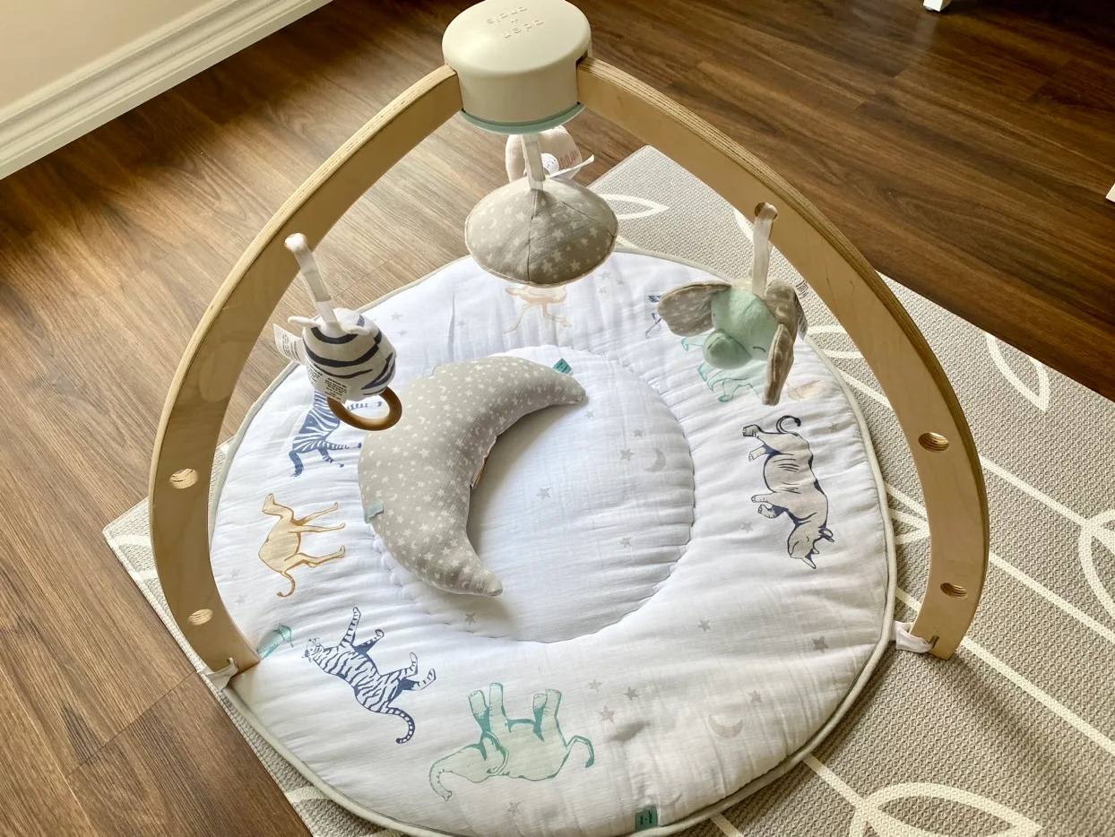 Gently used Aden +Anais playmat image indicator(2)