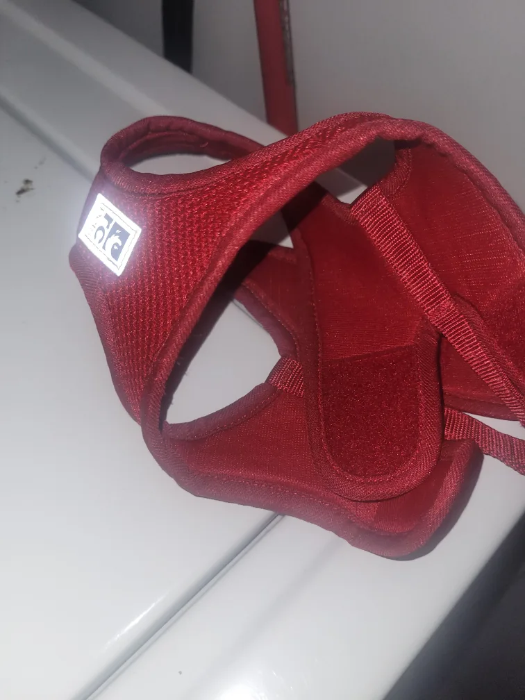 #freecycle   Red Dog Harness image indicator(3)