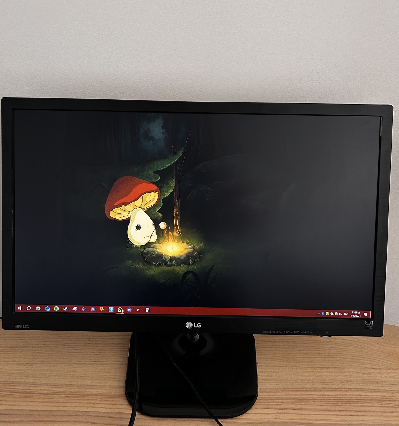 LG Full HD IPS LED Monitor (27inch)