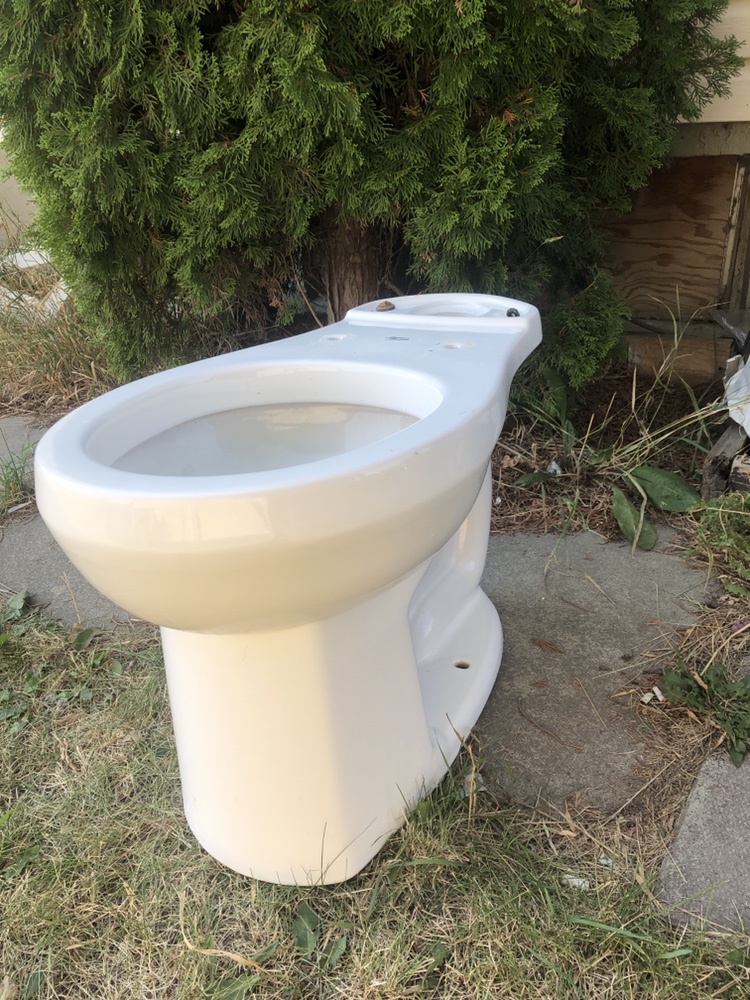 Toilet bowl 🧡