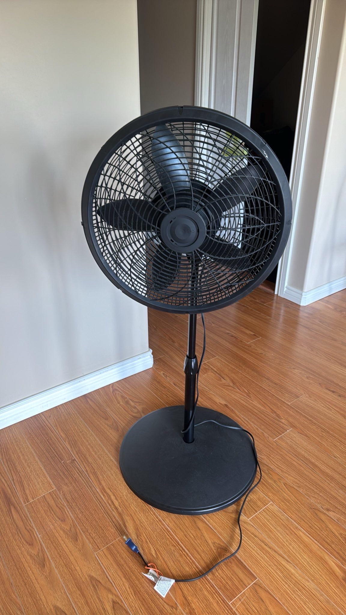 Stand Up Fan