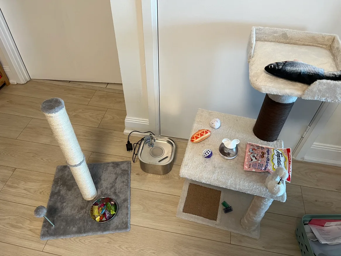Cat starter kit thumbnail