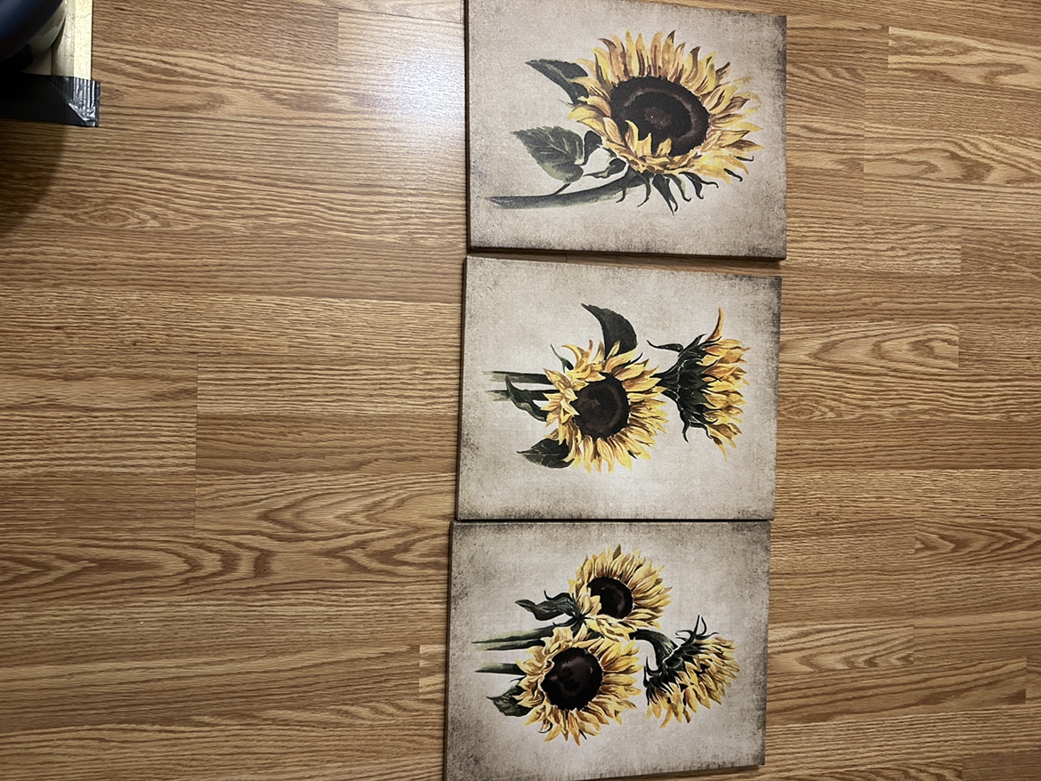Sunflower Canvas Wall Art