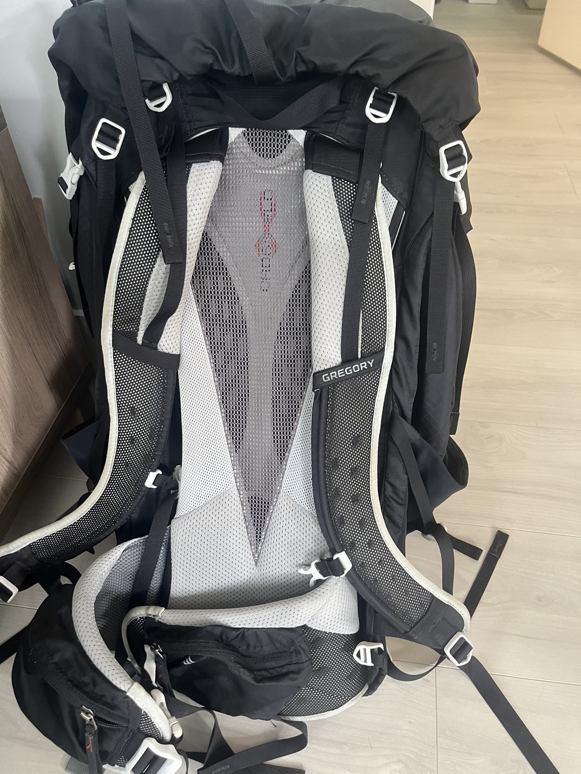 Gregory Baltoro 65L Backpack - photo 3