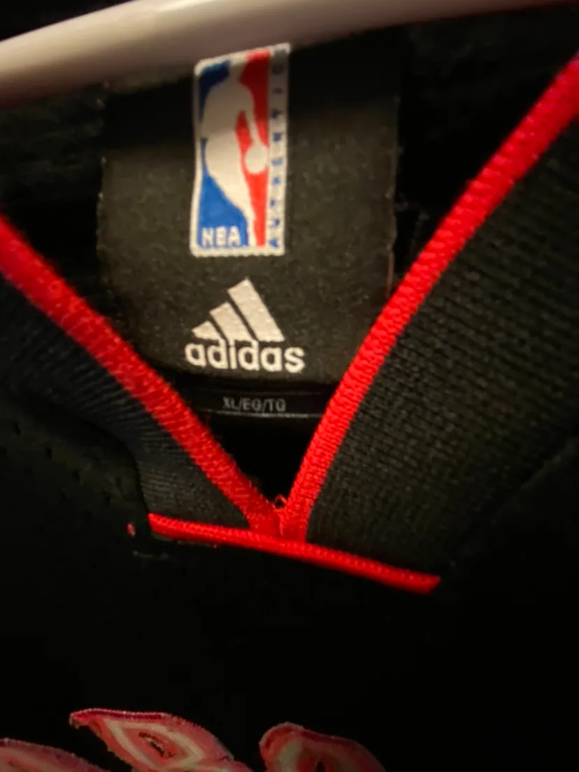 Toronto Raptors Jose Calderon Jersey image indicator(3)